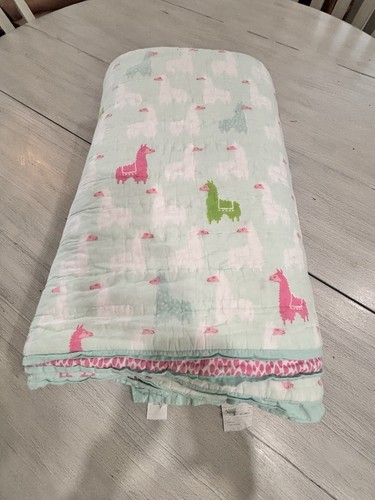 Pottery barn kids blue - blue, pink