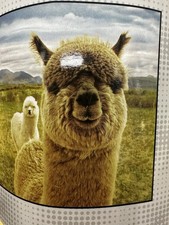Llama Throw